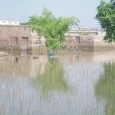 Flood Relief Phase 1 As you are well aware of the sequences of what the country has been through in last couple of weeks. The last and we hope THE LAST event, the rain...